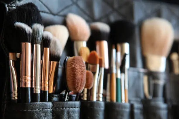 The Ultimate Guide Makeup Brushes